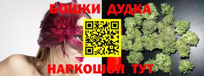 сатива Краснодар