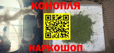 mdpv Краснознаменск
