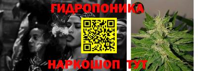 mdpv Краснознаменск