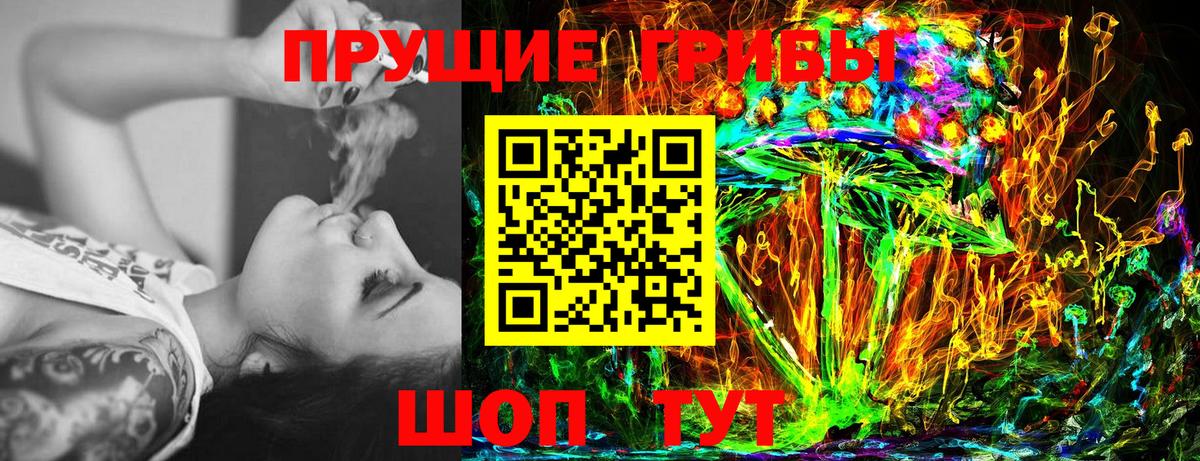 Псилоцибиновые грибы Magic Shrooms  Галлюциногенные грибы Magic Shrooms  закладки  Комсомольск-на-Амуре  Вход с VPN 